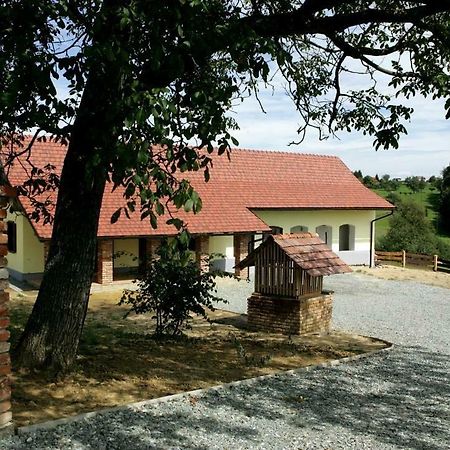 Apartments Mali Raj Dolenci Екстериор снимка